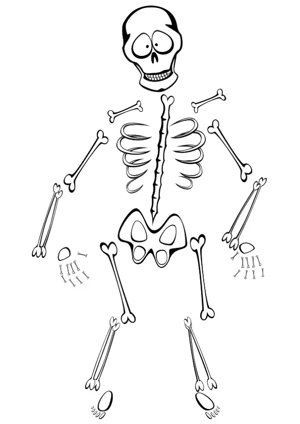 A-funny-skeleton