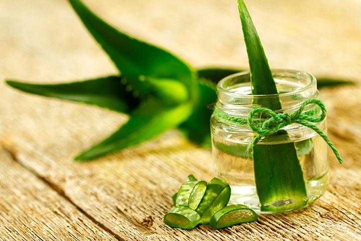 12 Interesting Facts About Aloe Vera For Kids