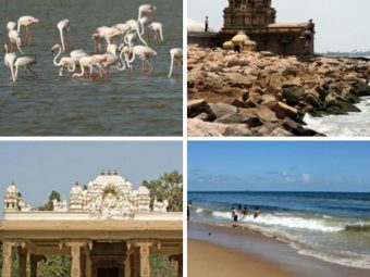 30 Famous Places To Visit In Chennai With Your Kids