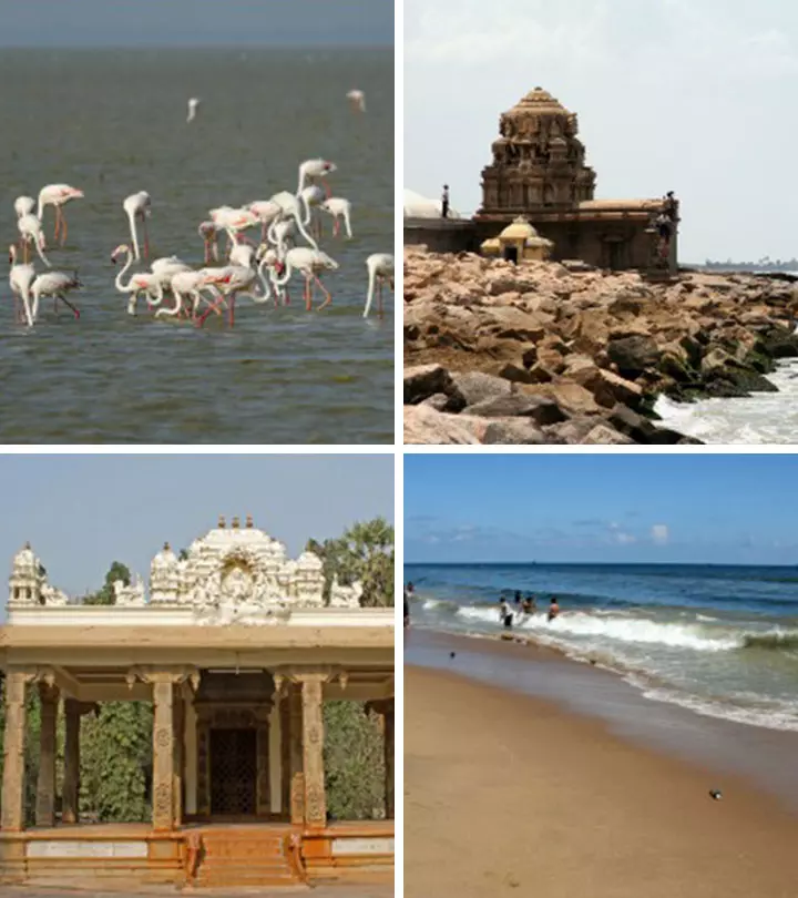 Best-Places-To-Visit-In-Chennai-With-Kids