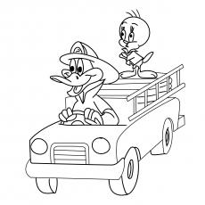 Daffy-With-Tweety-17