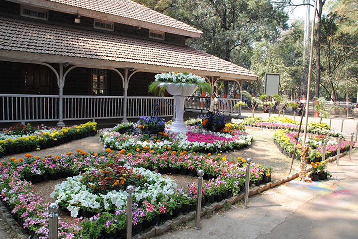 Empress Garden, a must visit to explore different species of plants