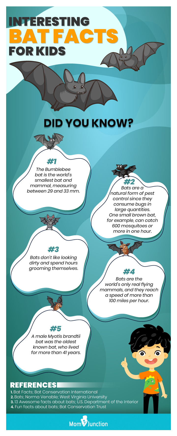 interesting bat facts for kids [infographic]