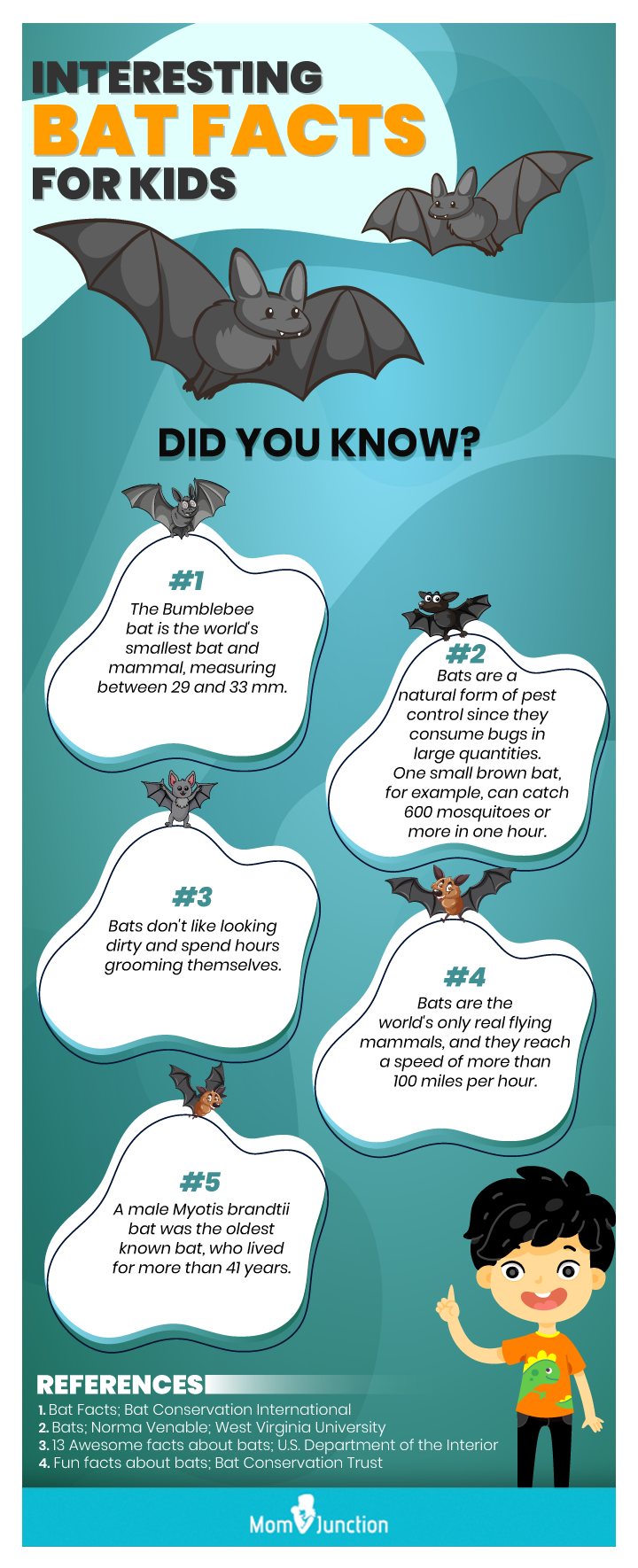 interesting bat facts for kids (infographic)