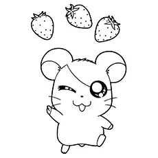 Hamtaro and three strawberries coloring page
