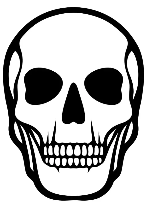 Human-Skull-Skeleton