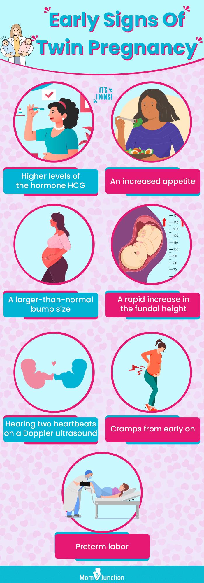 Twin Pregnancy Stages