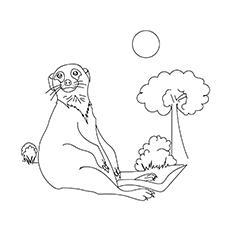 A sitting meerkat coloring page