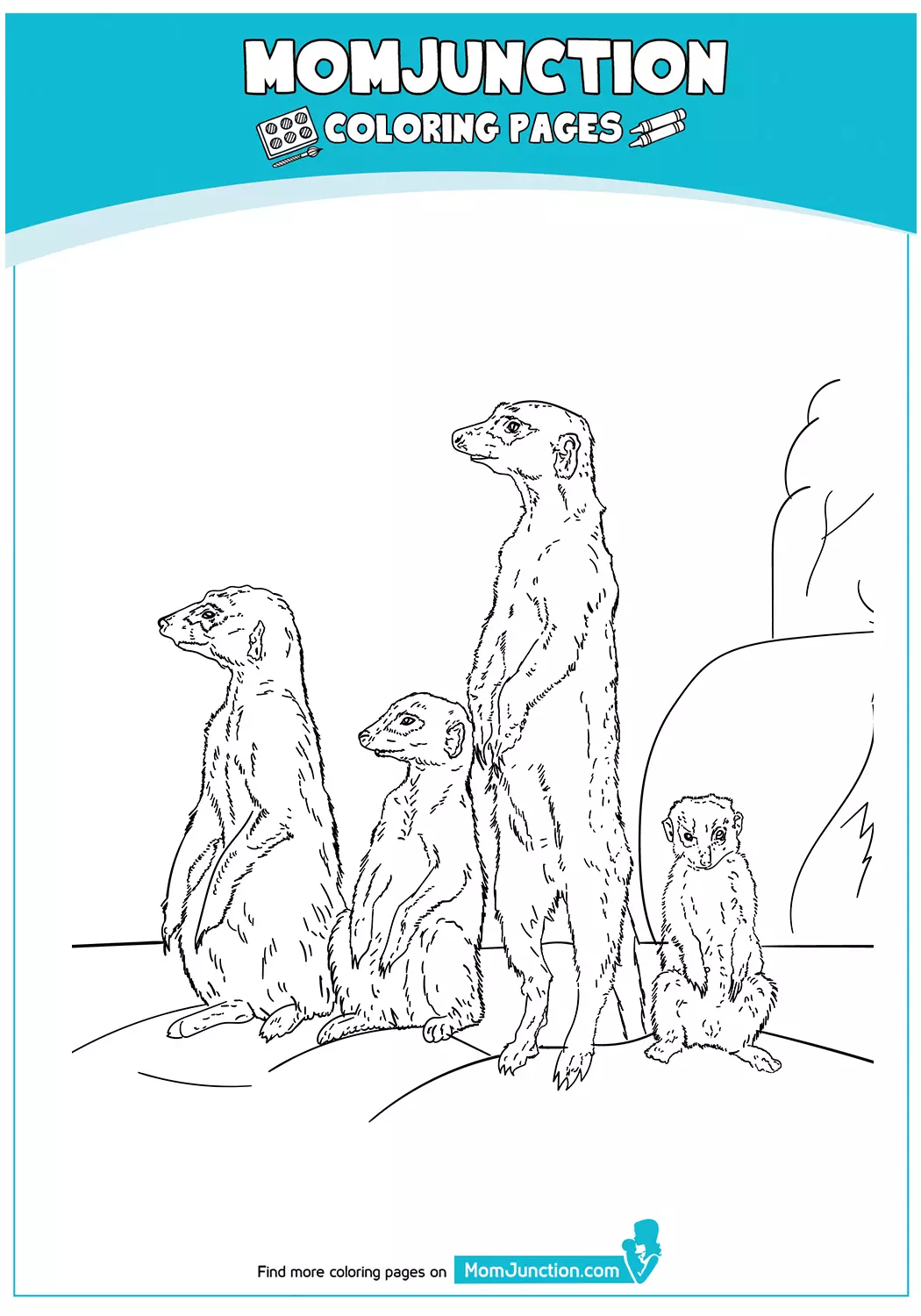 Meerkat-With-A-Group-17