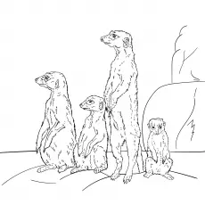 A group of meerkat coloring page_image