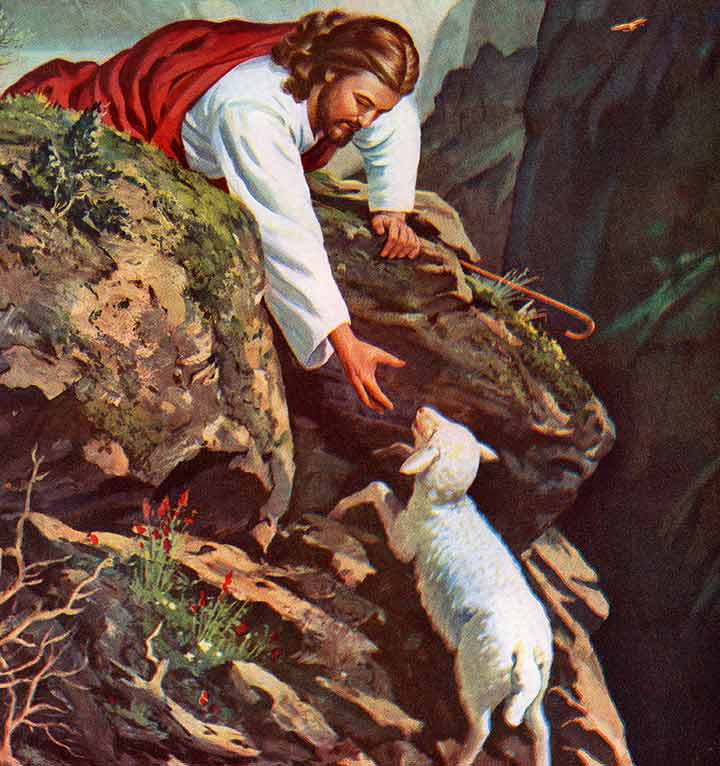 Parable Of The Lost Sheep from Bible stories for children