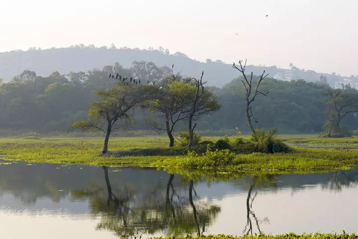 Pashan lake, place to visit in Pune with kids