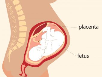 Placental Abruption: Causes, Symptoms And Treatment