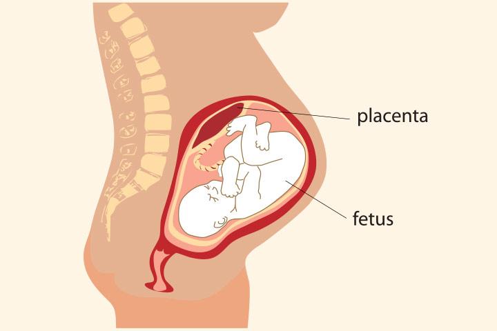 placental-abruption-causes-symptoms-and-treatment