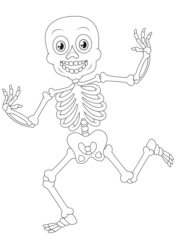 Running-skeleton