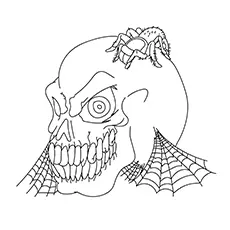 Skull and spider coloring page