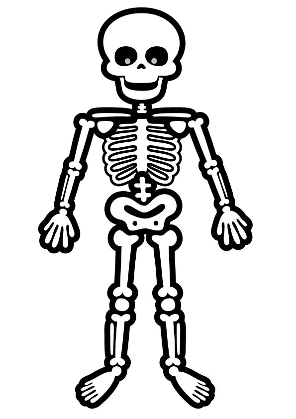 Standing-Skeleton