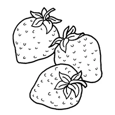 Three strawberries coloring page
