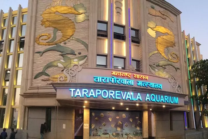 Taraporewala Aquarium, place to visit in Mumbai with kids