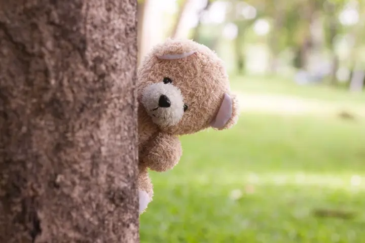 Teddy bear treasure hunt teddy bear games for kids