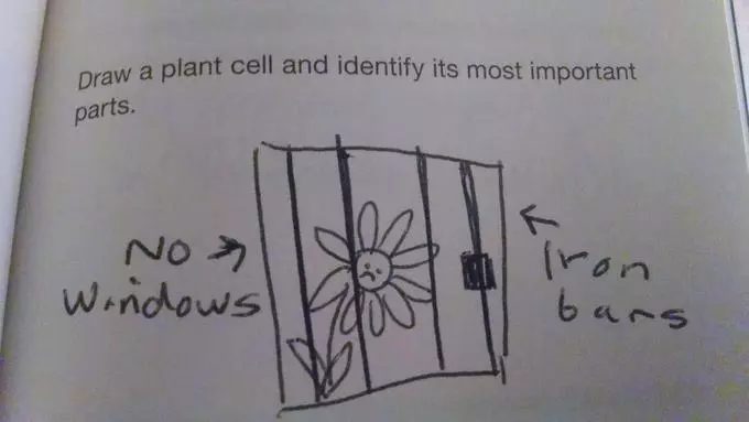 This one will put the leading botanists to shame...