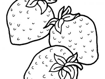 Top 15 Strawberry Coloring Pages For Your Little One