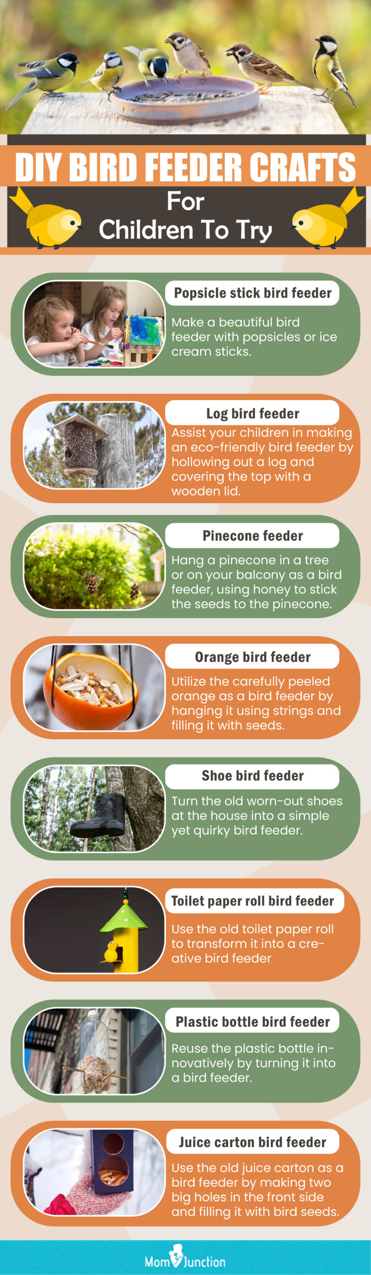 Amazing DIY Bird Feeders For Children (infographic)