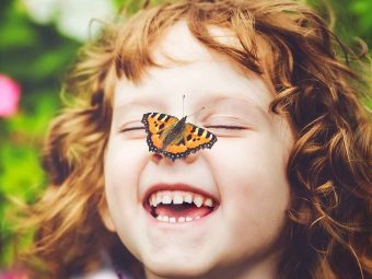 15 Amazing Facts About Butterfly For Kids