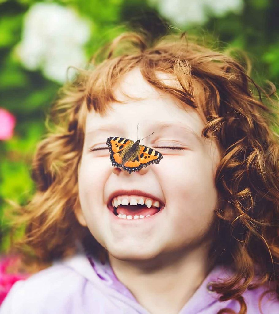 15 Amazing Butterfly Facts For Kids