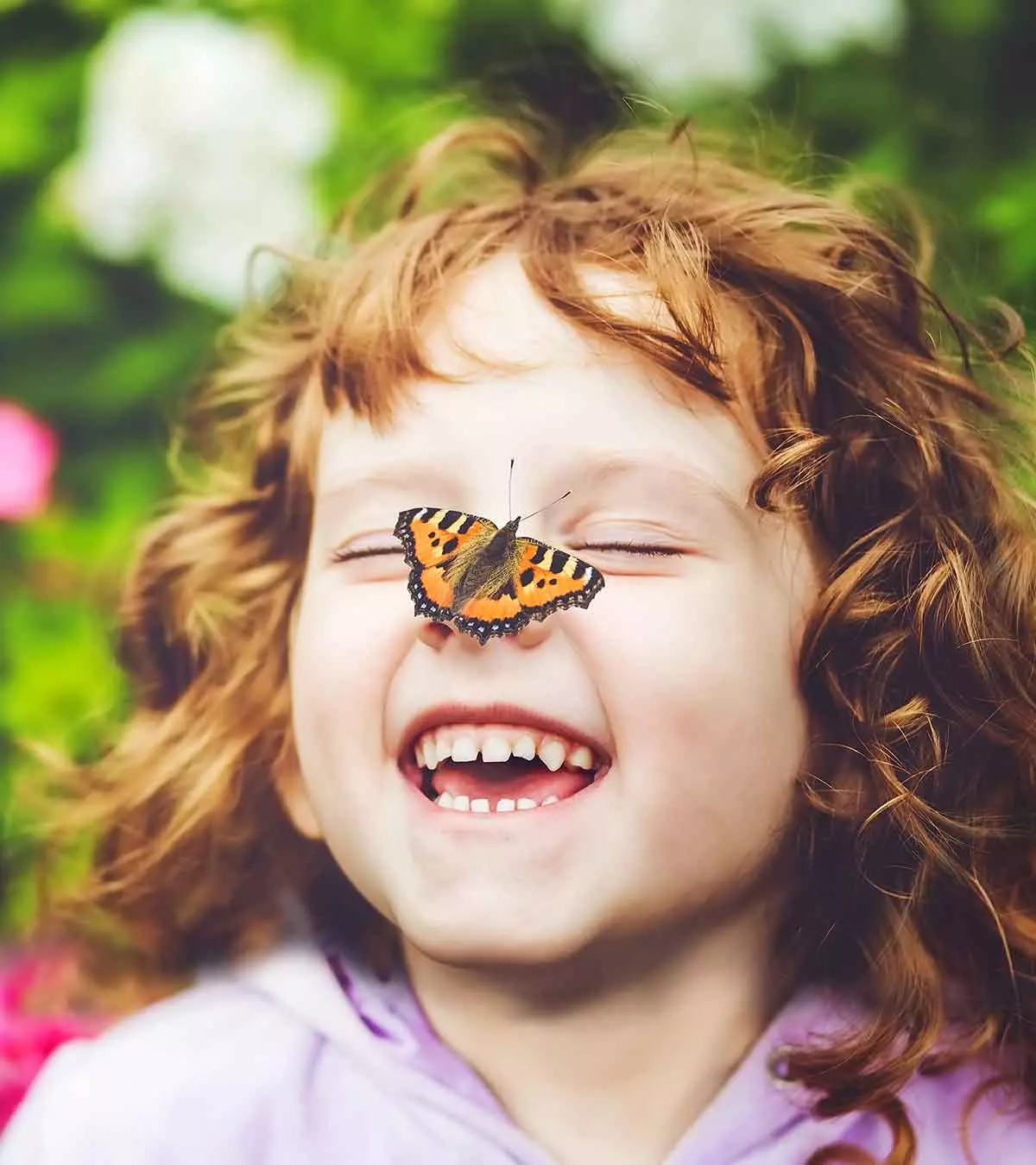 17 Fun And Fascinating Butterfly Facts For Kids