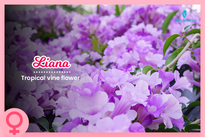 Liana, Names inspired by flowers