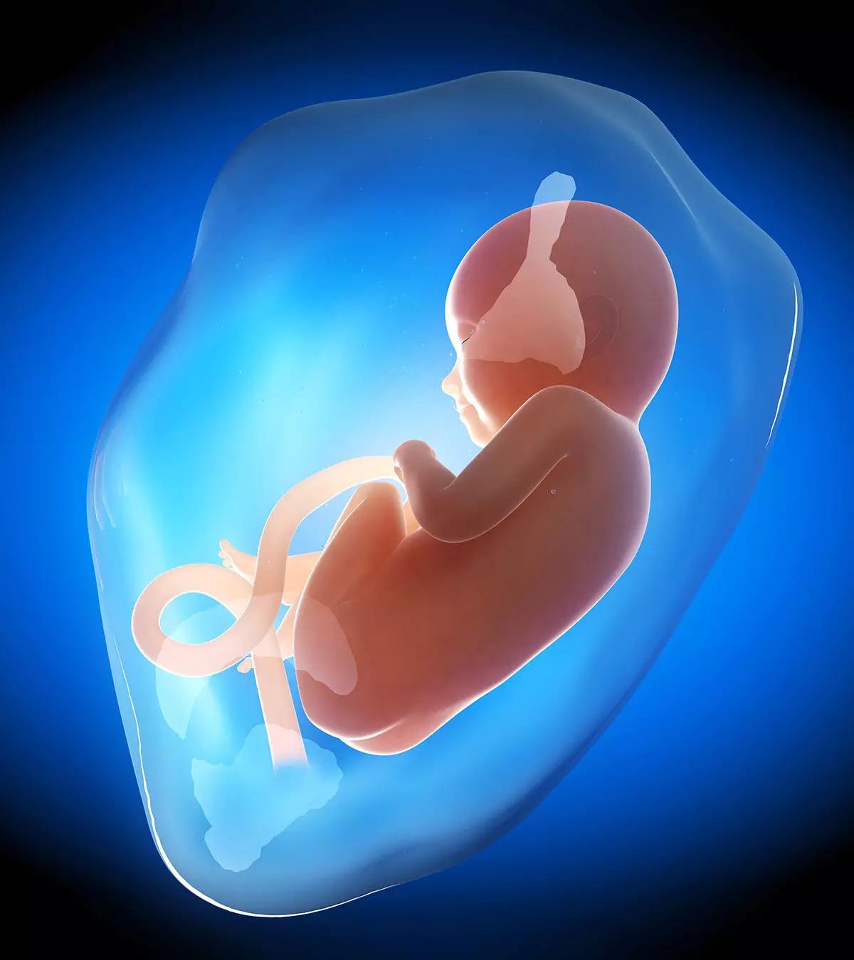 Low Amniotic Fluid (Oligohydramnios ) Can The Levels Be Increased?