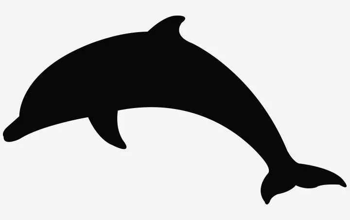 Dolphin silhouette craft for preschoolers