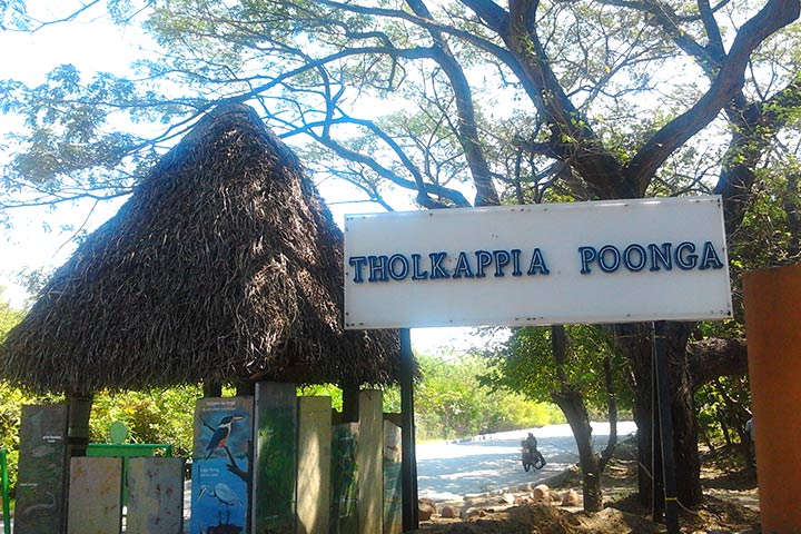Tholkappia Poonga park in Chennai