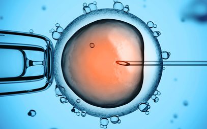 What Is IVF (In Vitro Fertilization ) And What Are The Risks? 
