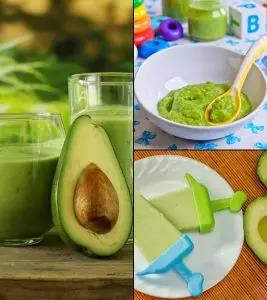 11 Tasty And Easy-To-Make Avocado Baby Food Recipes