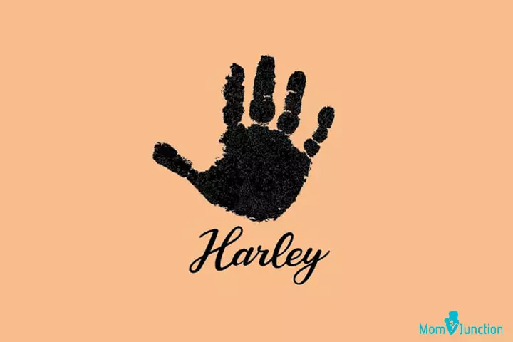 Tattoo idea for the name Harley