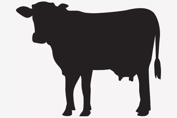 Cow silhouette crafts for preschoolers and kids