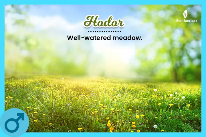 Hodor: Well-watered meadow.