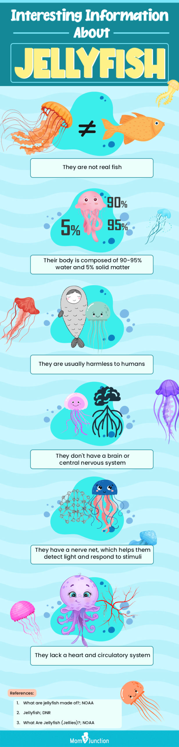 interesting information about jelly fishes (infographic)