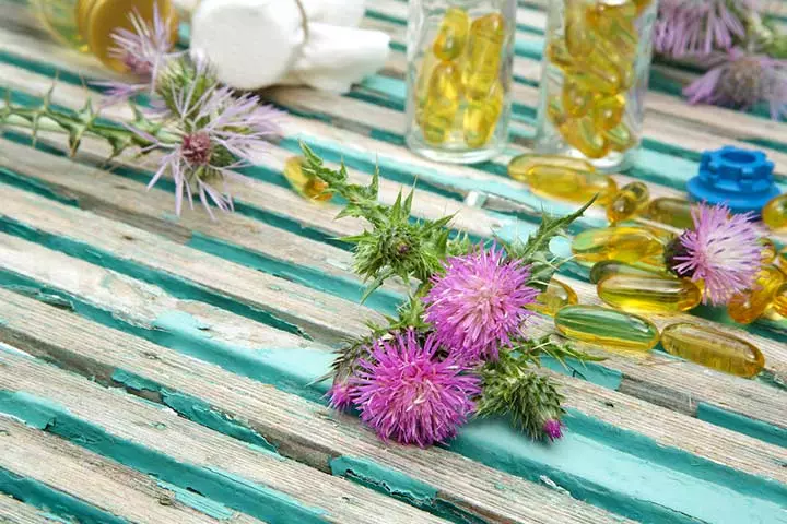 Milk Thistle For Breastfeeding All You Need To Know MomJunction