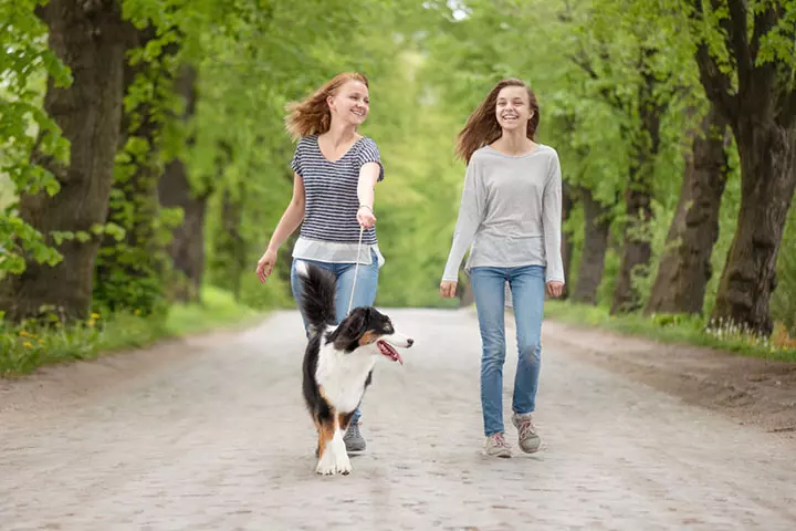 Take your dog for a walk, Things To Do With Teenagers