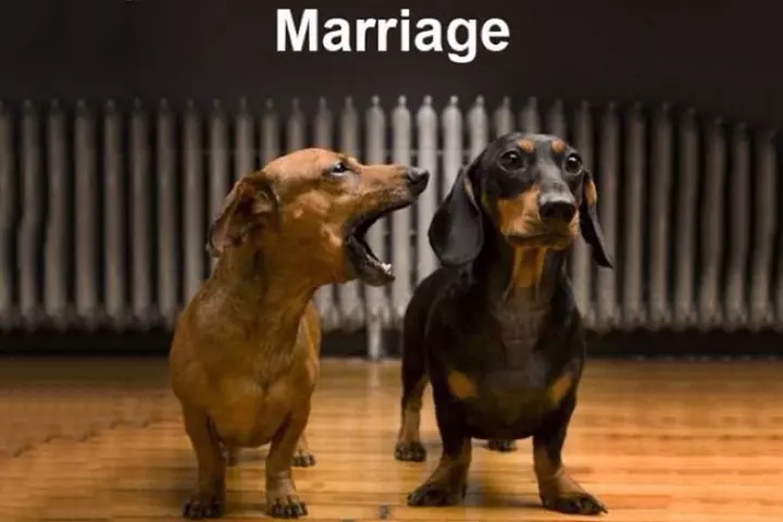 The husband must only listen while wife talks
