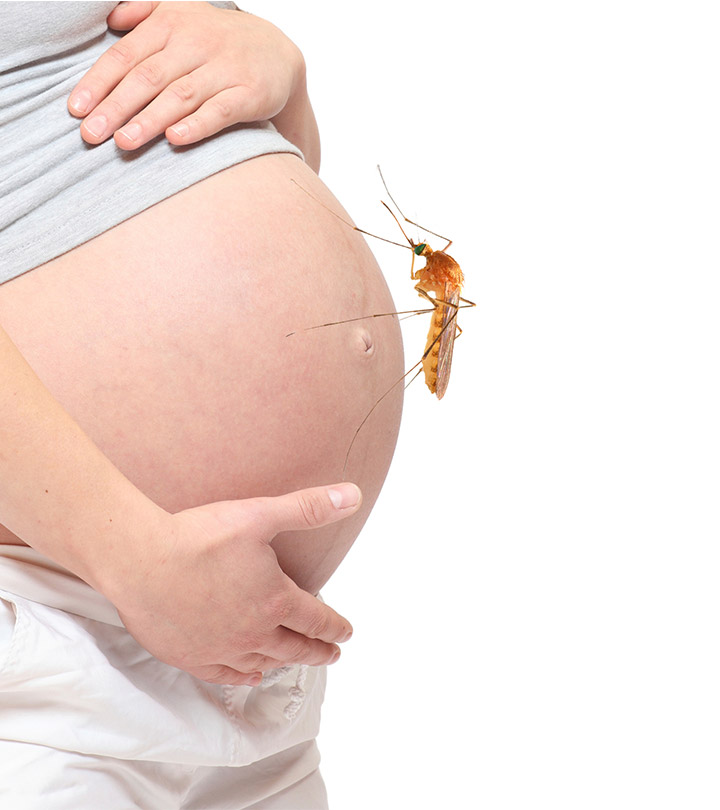 Zika Virus Will Negatively Affect The Birthrates Around The World