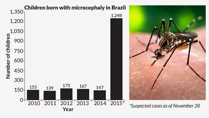there have been an alarming 4000 microencephaly births with a twenty-five fold surge since 2010.