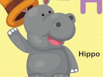 10 Interesting Hippo Crafts For Your Preschooler