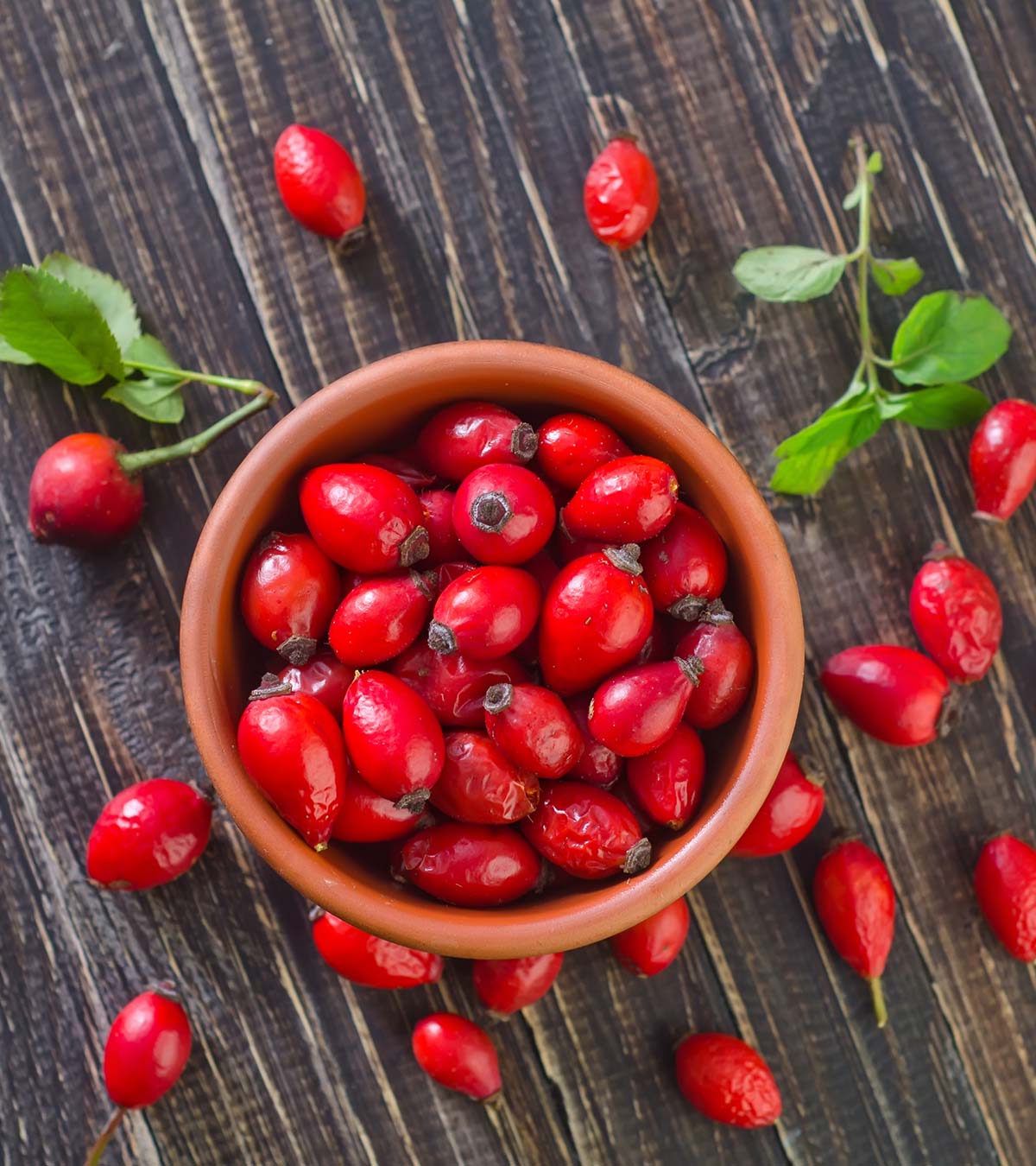 Is It Safe To Have Rose Hips During Pregnancy?
