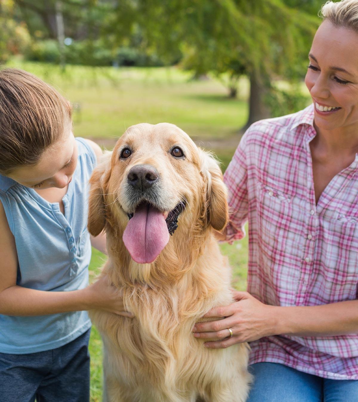 facts about dogs for kids