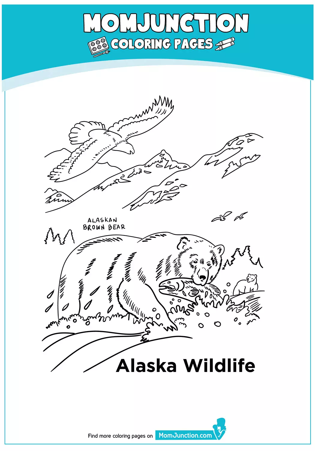 Alaskan-Wildlife-17