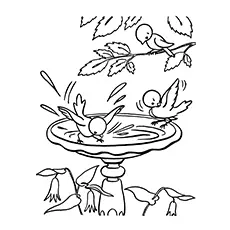 Nature Coloring Pages - Birds